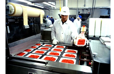 industria de alimentos
